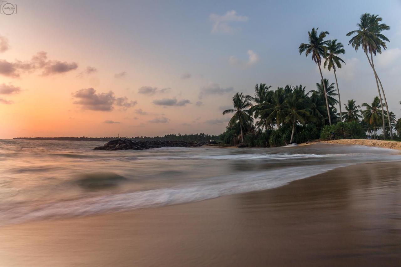 Oyo 459 Barasti Beach Resort Kalutara Extérieur photo